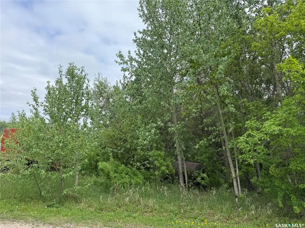 Rural Address Torch River Rm No. 488 SK S0J 3B0