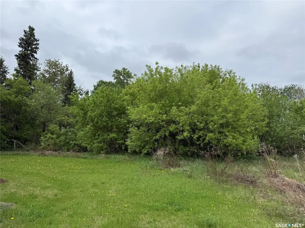 Rural Address Torch River Rm No. 488 SK S0J 3B0