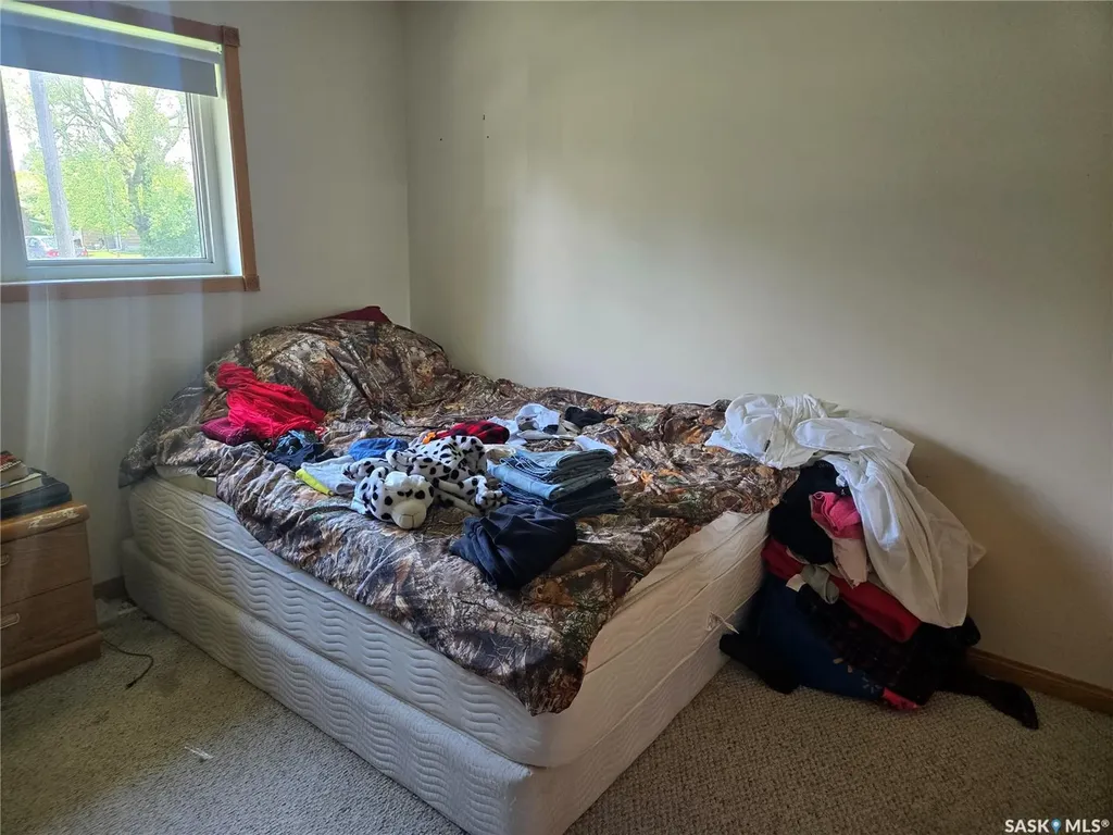 334 Moltke Avenue Windthorst SK S0G 5G0