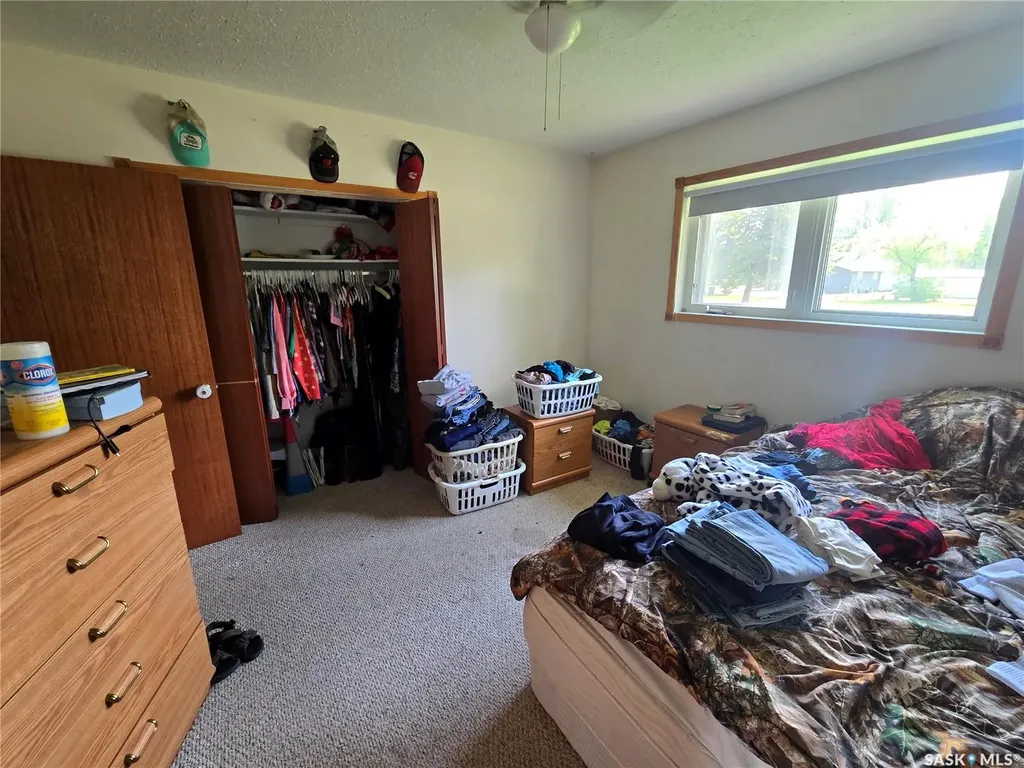 334 Moltke Avenue Windthorst SK S0G 5G0