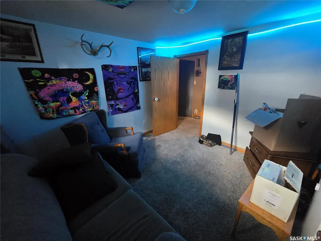 334 Moltke Avenue Windthorst SK S0G 5G0