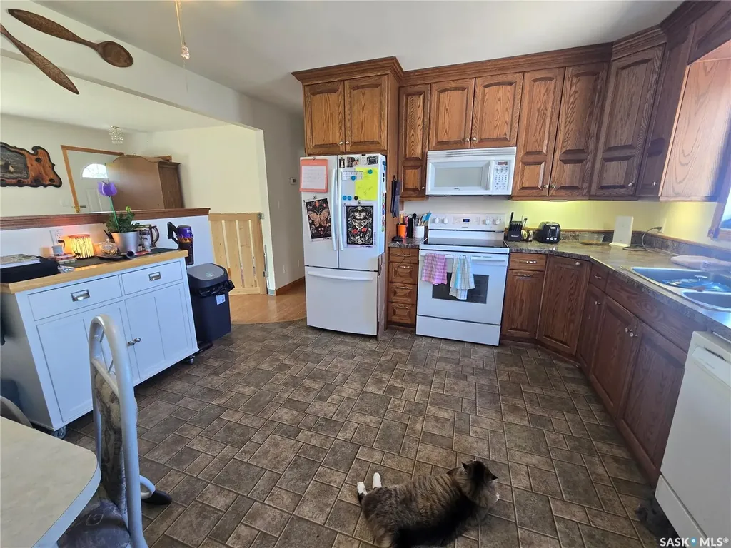 334 Moltke Avenue Windthorst SK S0G 5G0