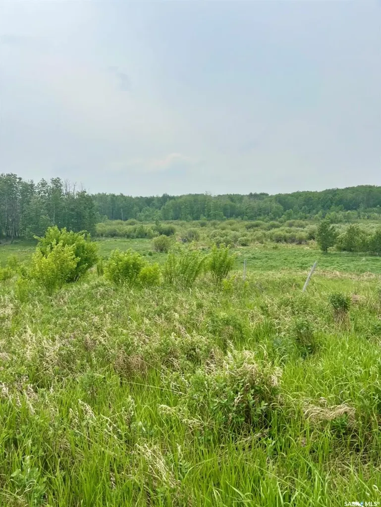Rural Address Medstead Rm No.497 SK S0M 1W0