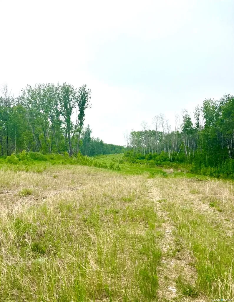 Rural Address Medstead Rm No.497 SK S0M 1W0