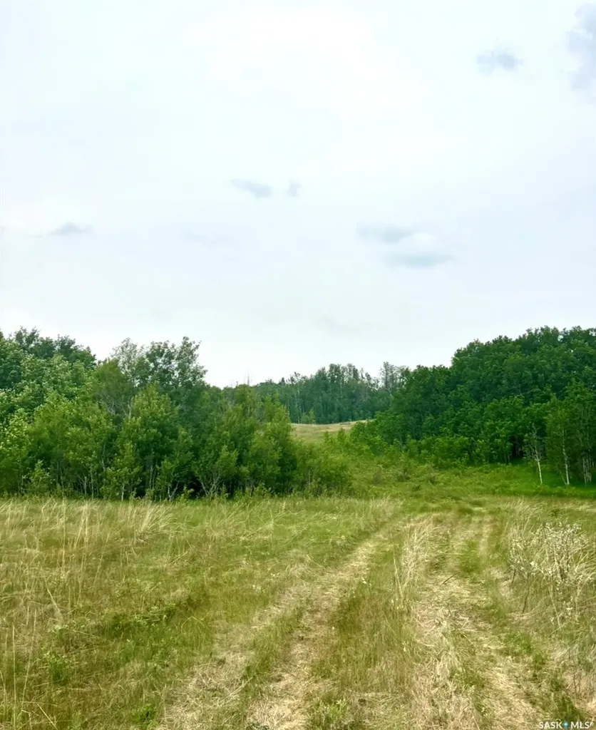 Rural Address Medstead Rm No.497 SK S0M 1W0