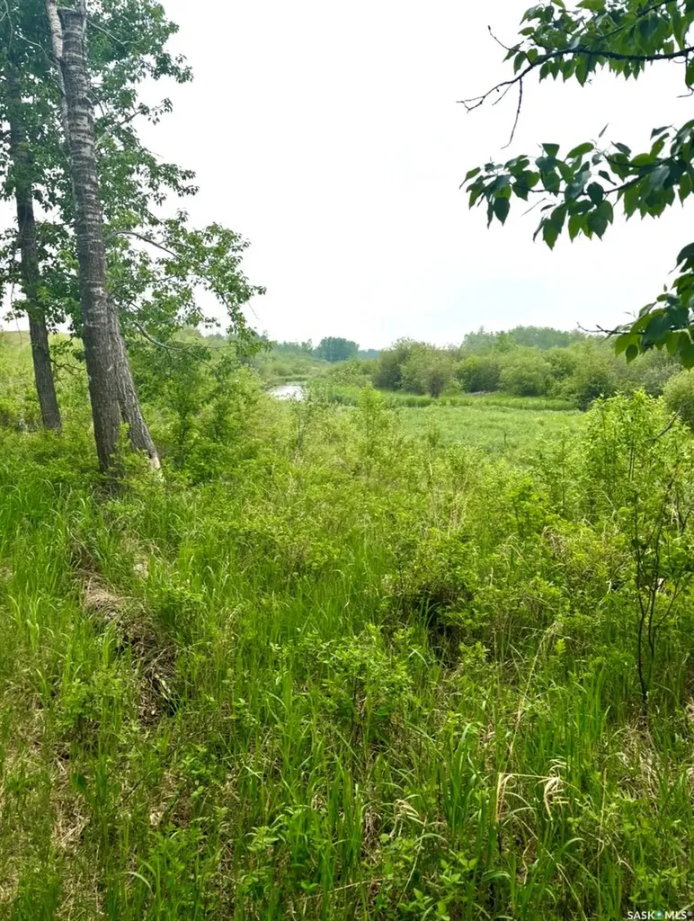 Rural Address Medstead Rm No.497 SK S0M 1W0
