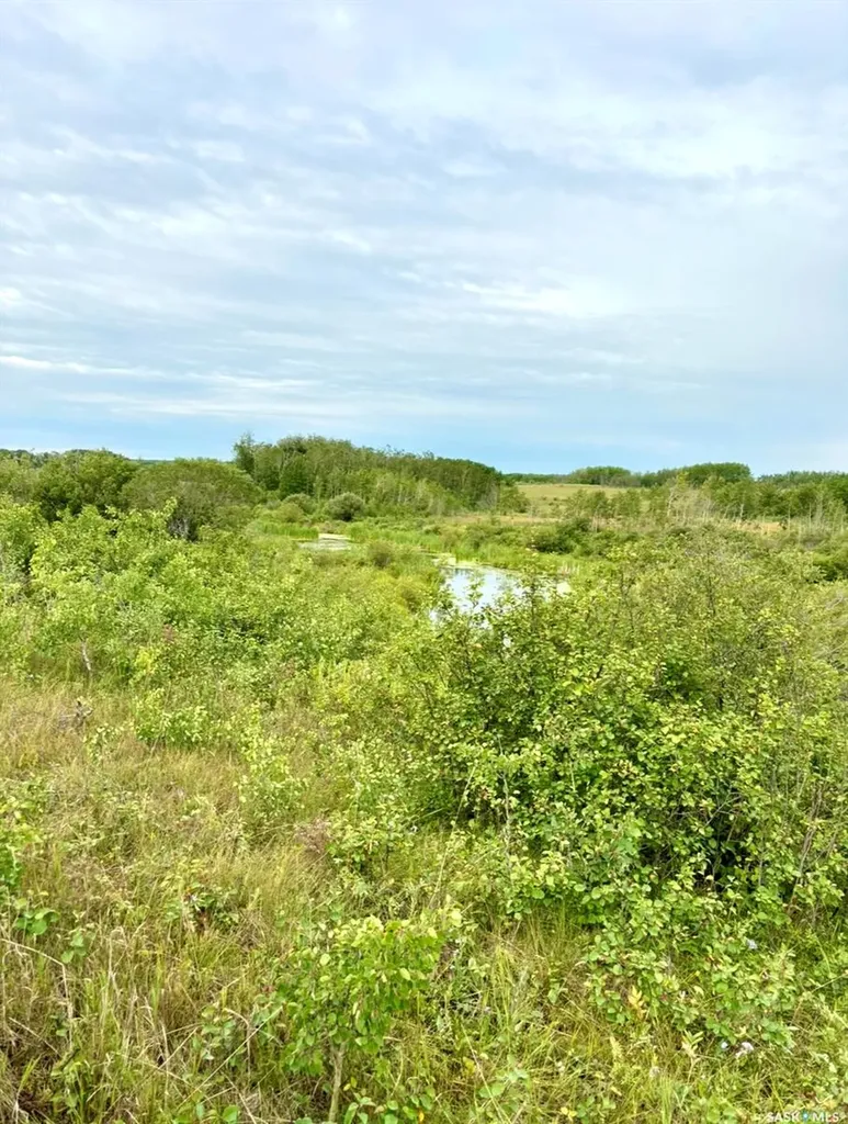 Rural Address Medstead Rm No.497 SK S0M 1W0