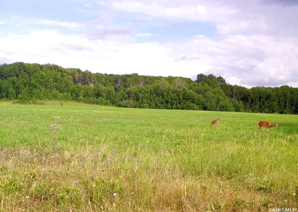Rural Address Medstead Rm No.497 SK S0M 1W0