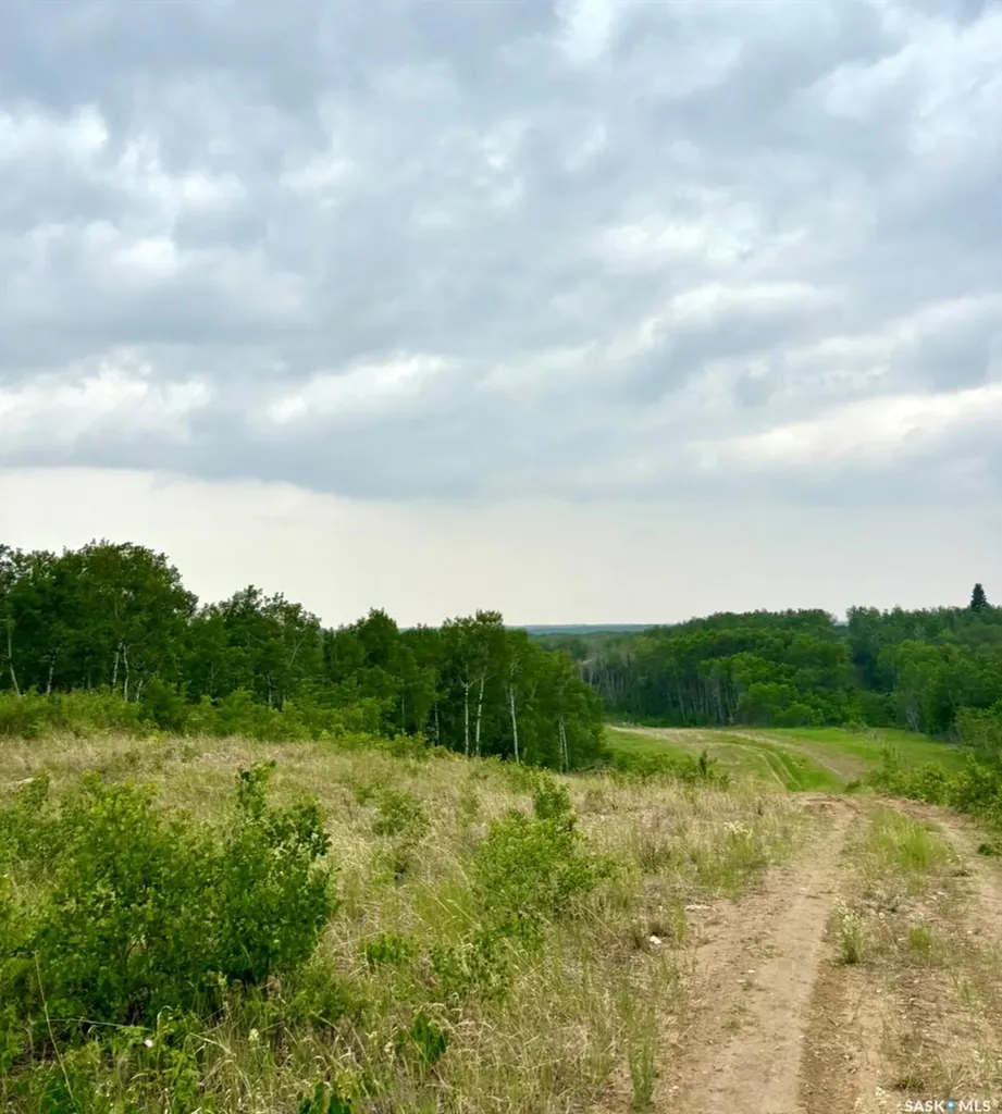 Rural Address Medstead Rm No.497 SK S0M 1W0