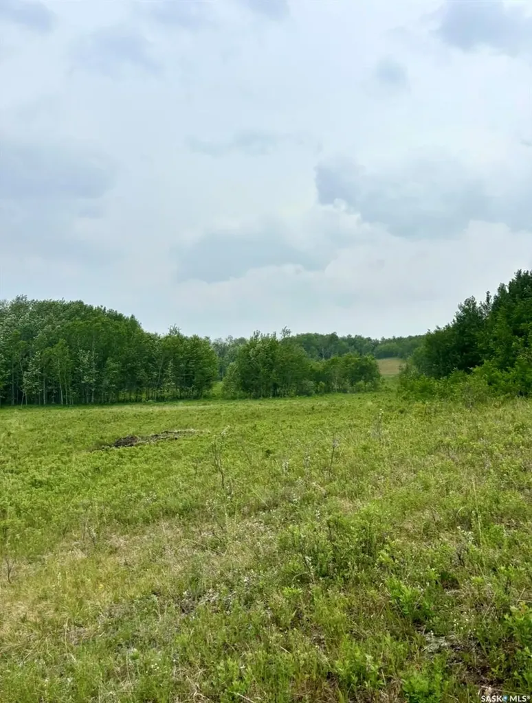 Rural Address Medstead Rm No.497 SK S0M 1W0
