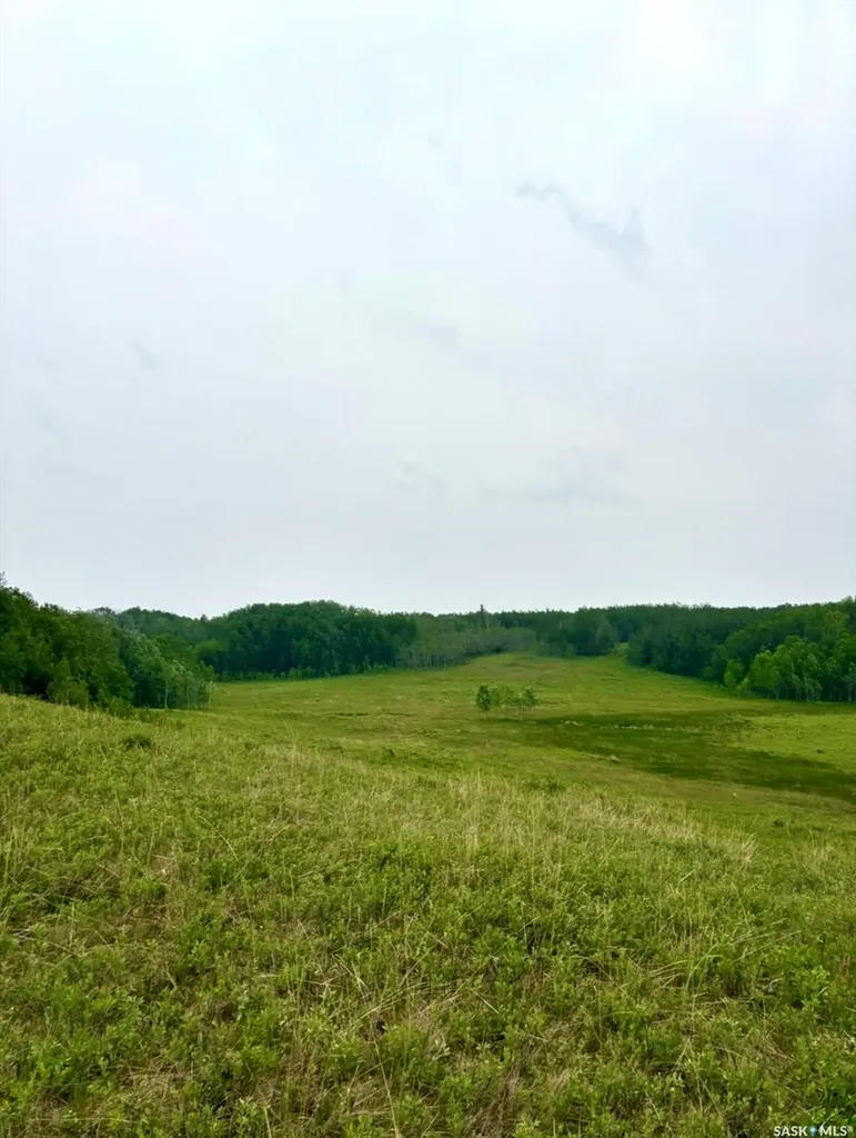 Rural Address Medstead Rm No.497 SK S0M 1W0