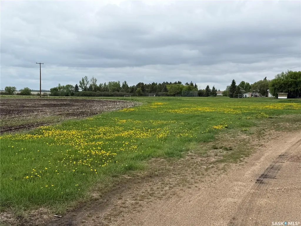405 3rd Avenue S Leask SK S0J 1M0