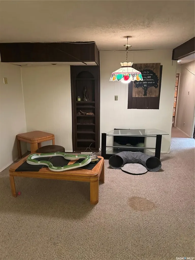 28 Carmichael Road Regina SK S4R 0C5