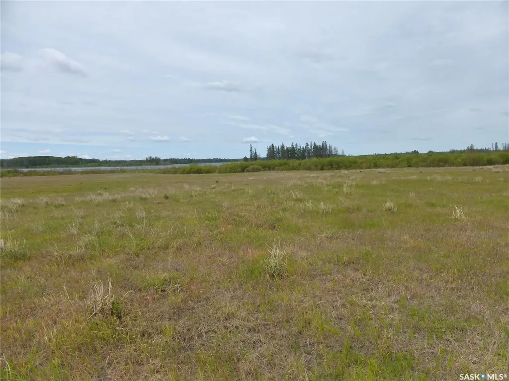 Rural Address Mervin Rm No.499 SK S0M 2T0