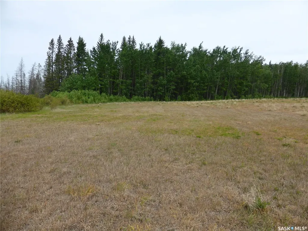 Rural Address Mervin Rm No.499 SK S0M 2T0