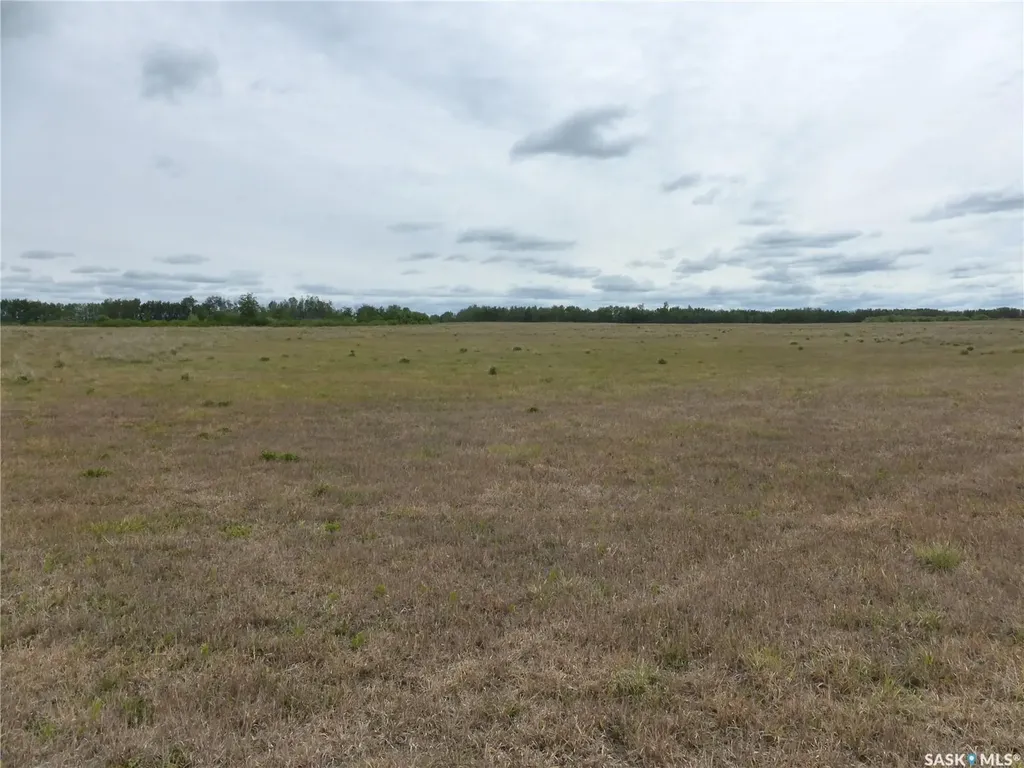 Rural Address Mervin Rm No.499 SK S0M 2T0