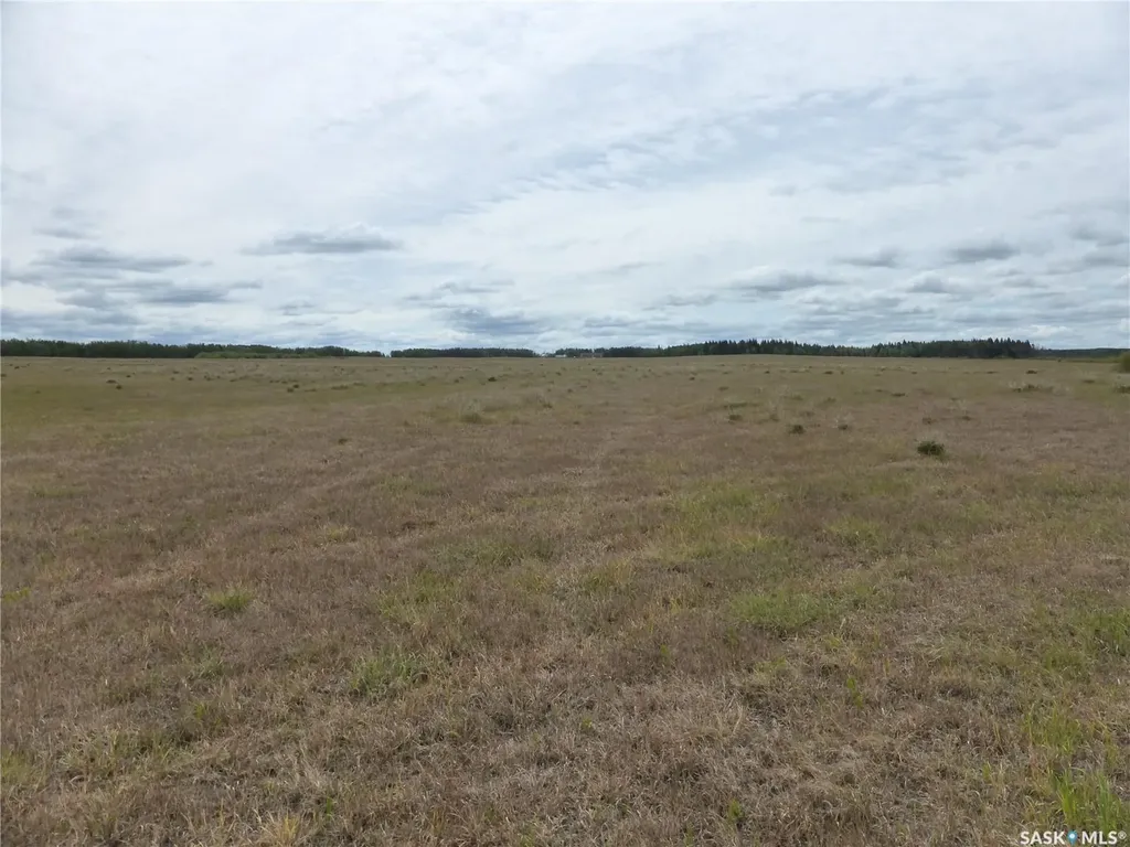 Rural Address Mervin Rm No.499 SK S0M 2T0