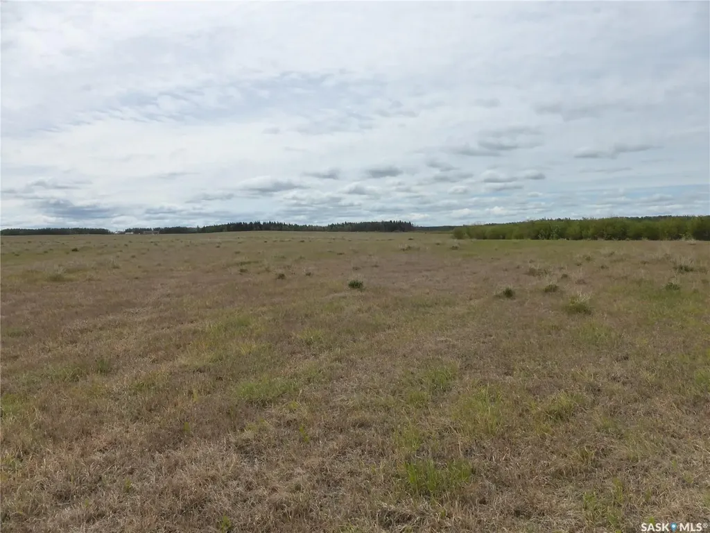 Rural Address Mervin Rm No.499 SK S0M 2T0