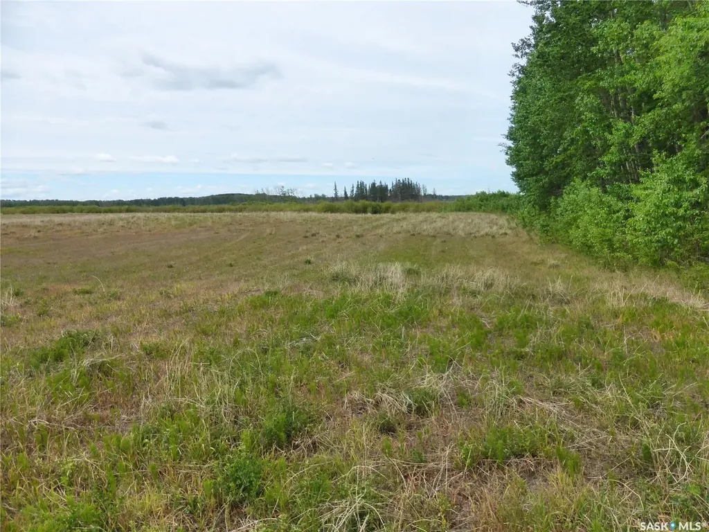 Rural Address Mervin Rm No.499 SK S0M 2T0