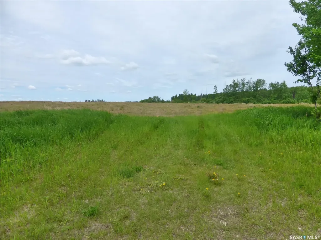 Rural Address Mervin Rm No.499 SK S0M 2T0
