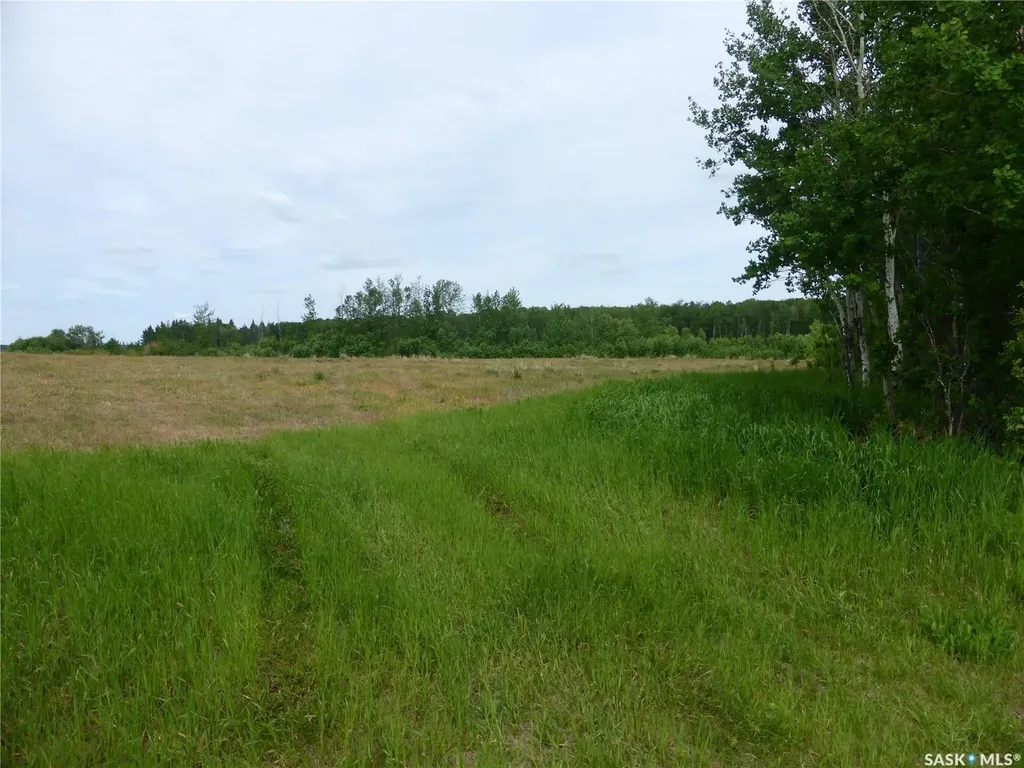 Rural Address Mervin Rm No.499 SK S0M 2T0