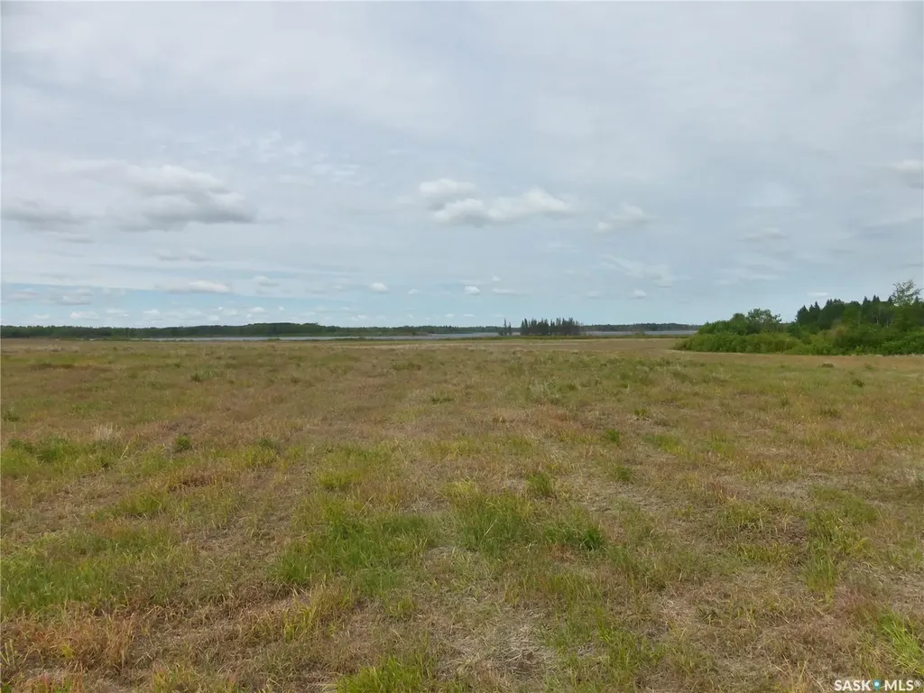Rural Address Mervin Rm No.499 SK S0M 2T0