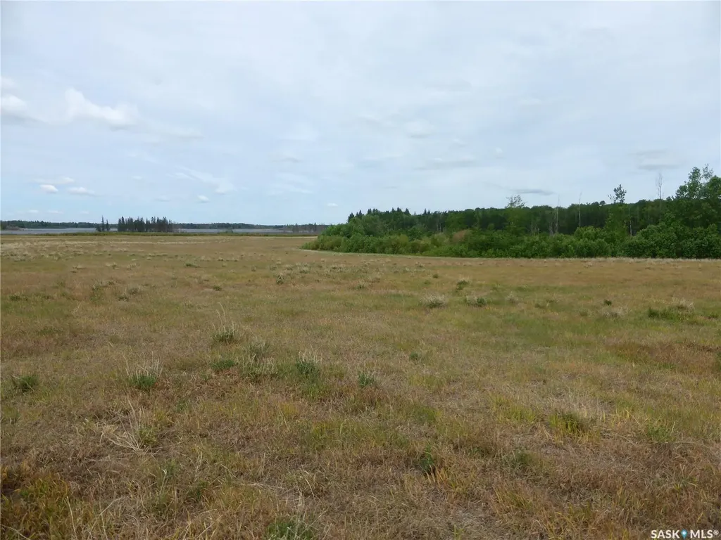Rural Address Mervin Rm No.499 SK S0M 2T0