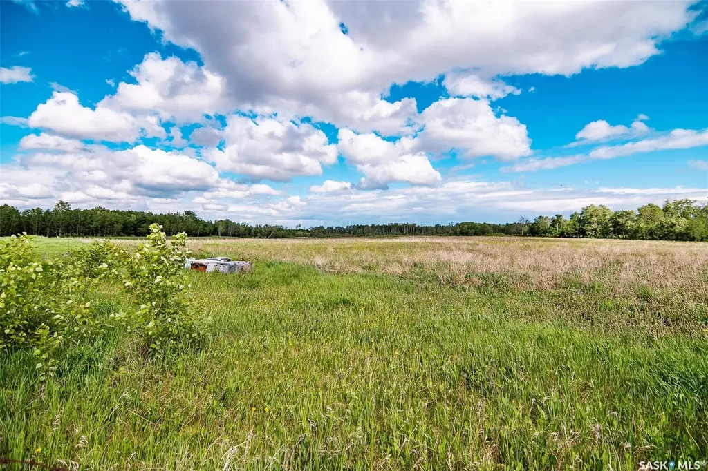 52547 Rural Address Paddockwood Rm No. 520 SK S0J 0N0