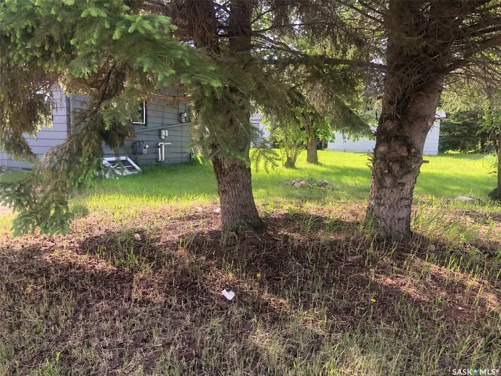 202 1st Avenue NW Preeceville SK S0A 3B0
