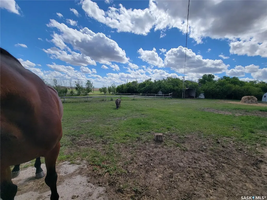 Rural Address Grass Lake Rm No. 381 SK S0K 3N0