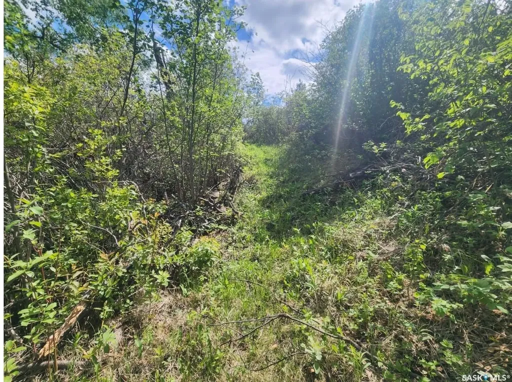Rural Address Laird Rm No. 404 SK S0K 2L0