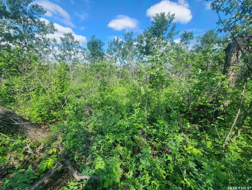 Rural Address Laird Rm No. 404 SK S0K 2L0