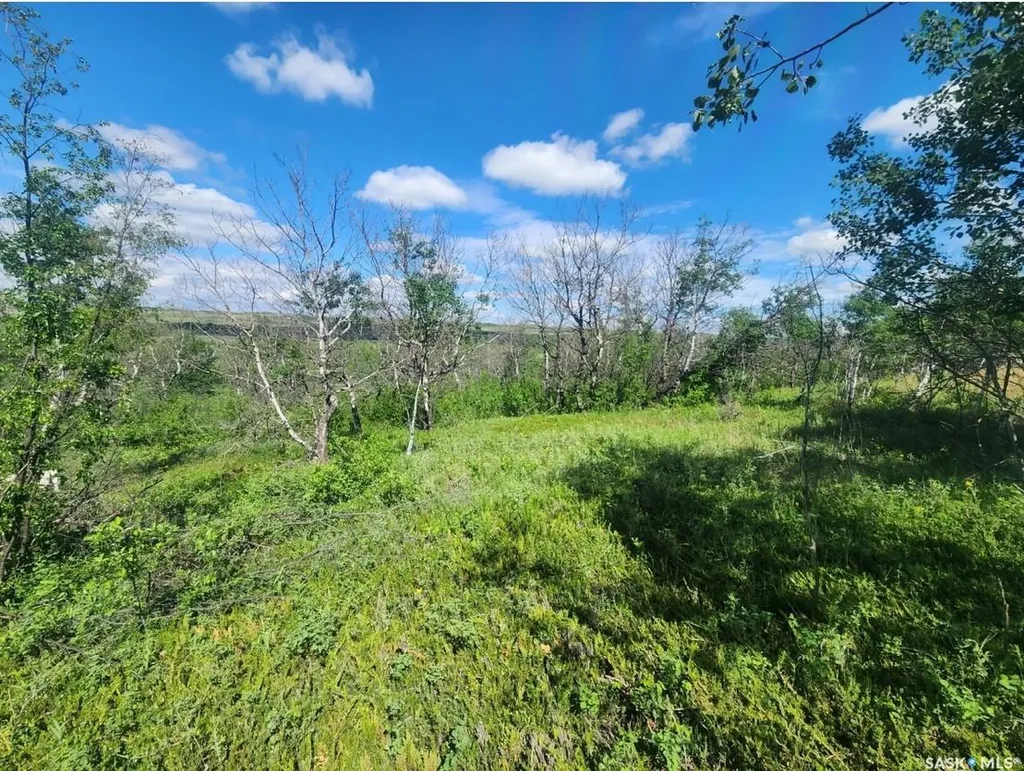 Rural Address Laird Rm No. 404 SK S0K 2L0