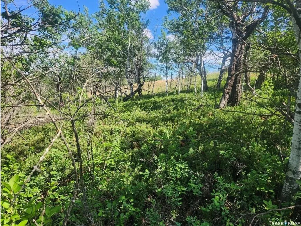 Rural Address Laird Rm No. 404 SK S0K 2L0