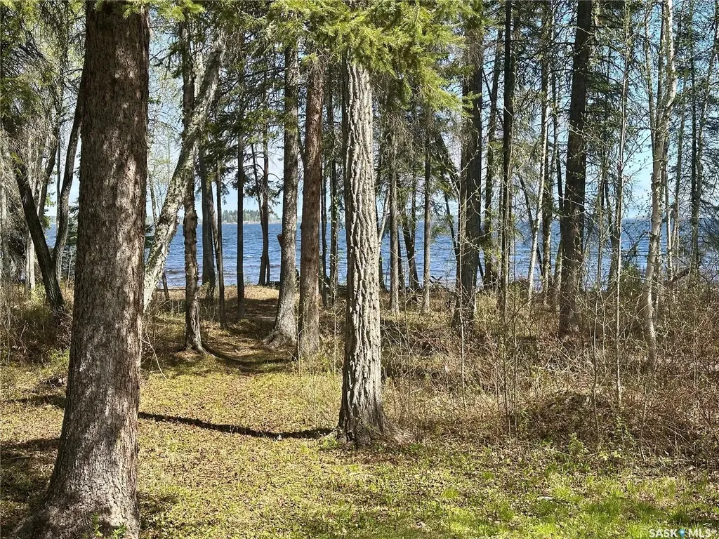 713 Niskemin Drive Northern Admin District SK S0J 1L0