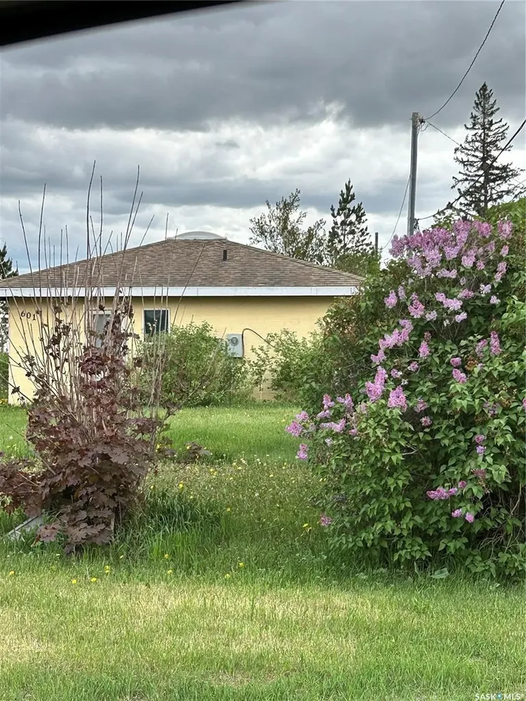 601 Colborne Avenue Viscount SK S0K 4M0