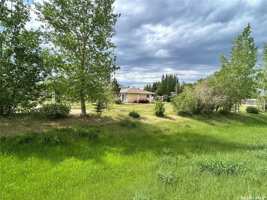 601 Colborne Avenue Viscount SK S0K 4M0