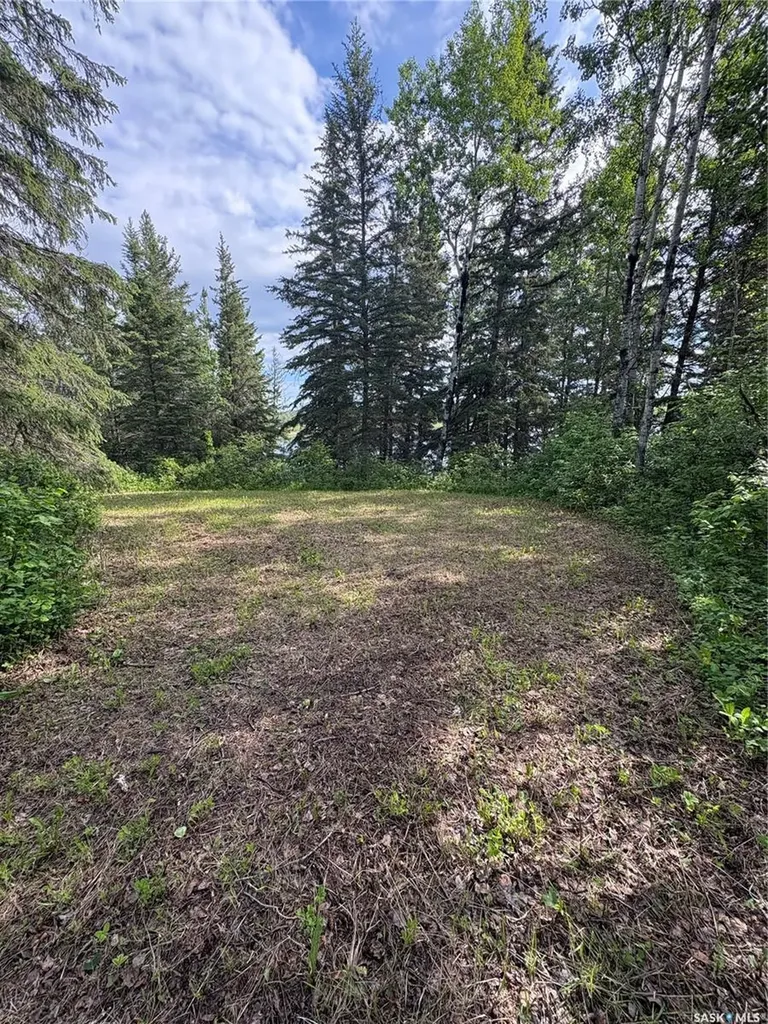1 Rural Address Hazel Dell Rm No. 335 SK S0A 0W0