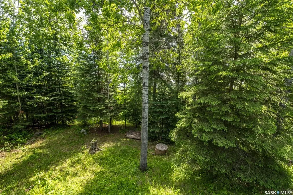109 Beaver Place Lakeland Rm No. 521 SK S0J 2Y0