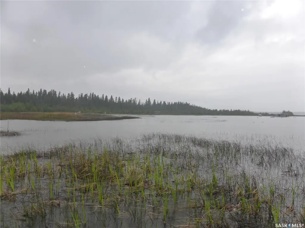 212 & 210 Spruce Bay Mervin Rm No.499 SK S0M 0H0