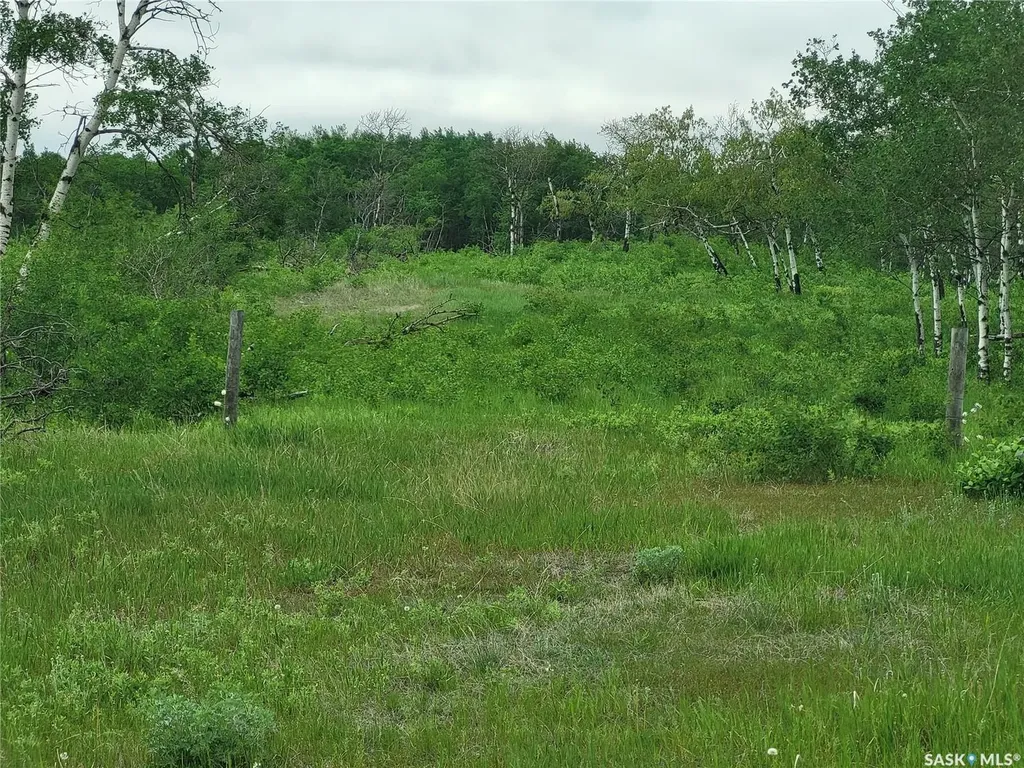 Rural Address Corman Park Rm No. 344 SK S0K 1V0