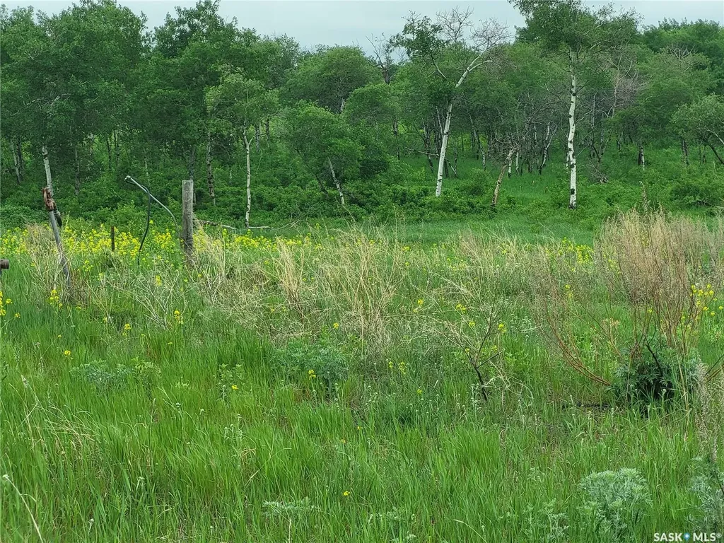 Rural Address Corman Park Rm No. 344 SK S0K 1V0