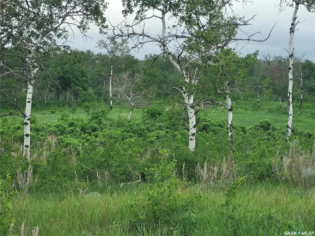 Rural Address Corman Park Rm No. 344 SK S0K 1V0