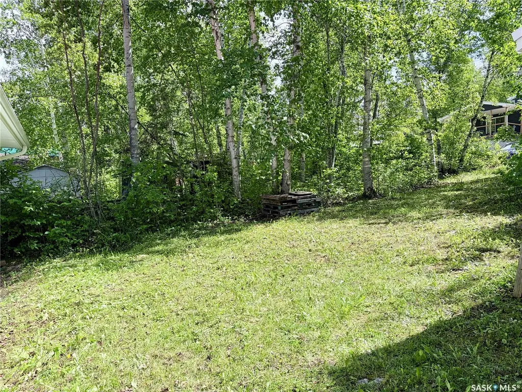 1100 Lakeside Road Bjorkdale Rm No. 426 SK S0E 0R0