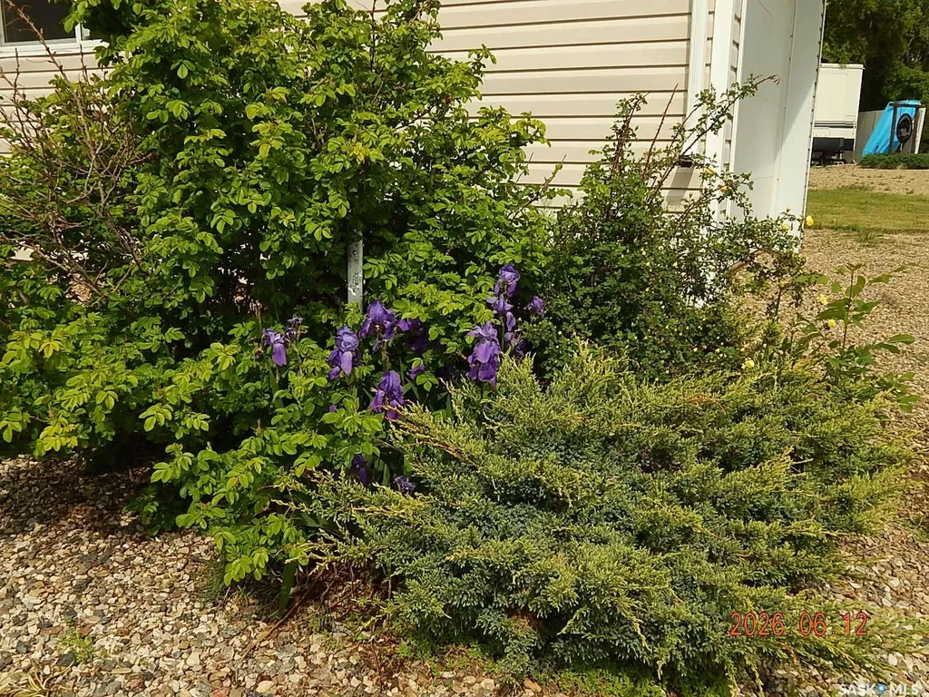 Lot 30 Bonneau Avenue Gravelbourg Rm No. 104 SK S0H 1X0
