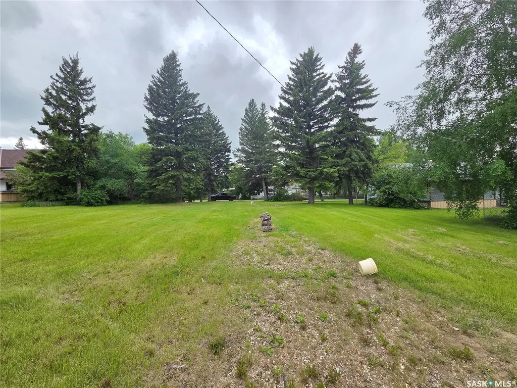 29 Newcombe Street Manor SK S0C 1R0