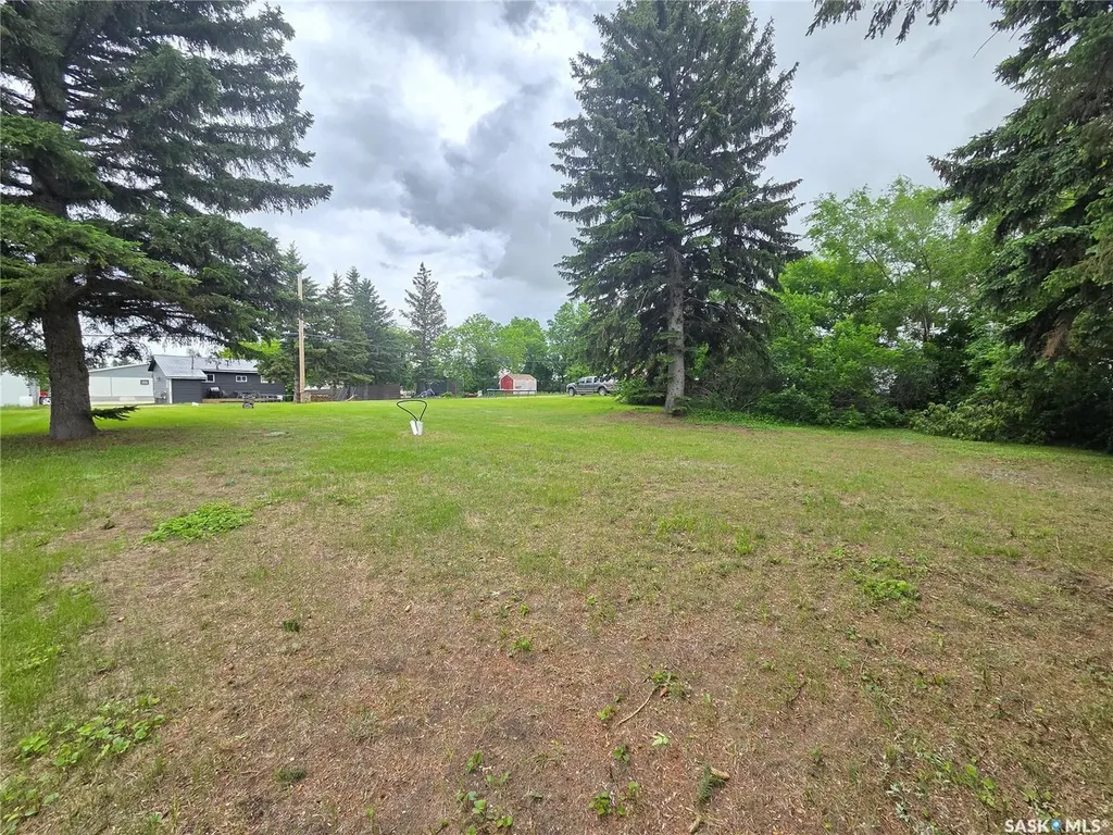 29 Newcombe Street Manor SK S0C 1R0