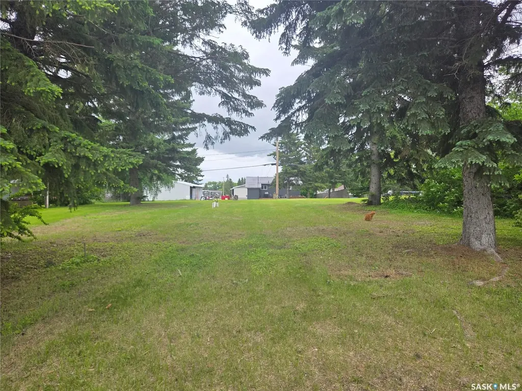 29 Newcombe Street Manor SK S0C 1R0