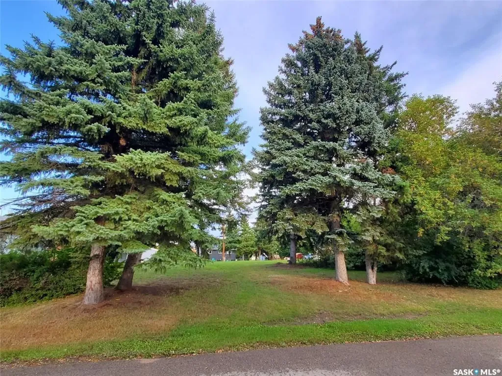 29 Newcombe Street Manor SK S0C 1R0