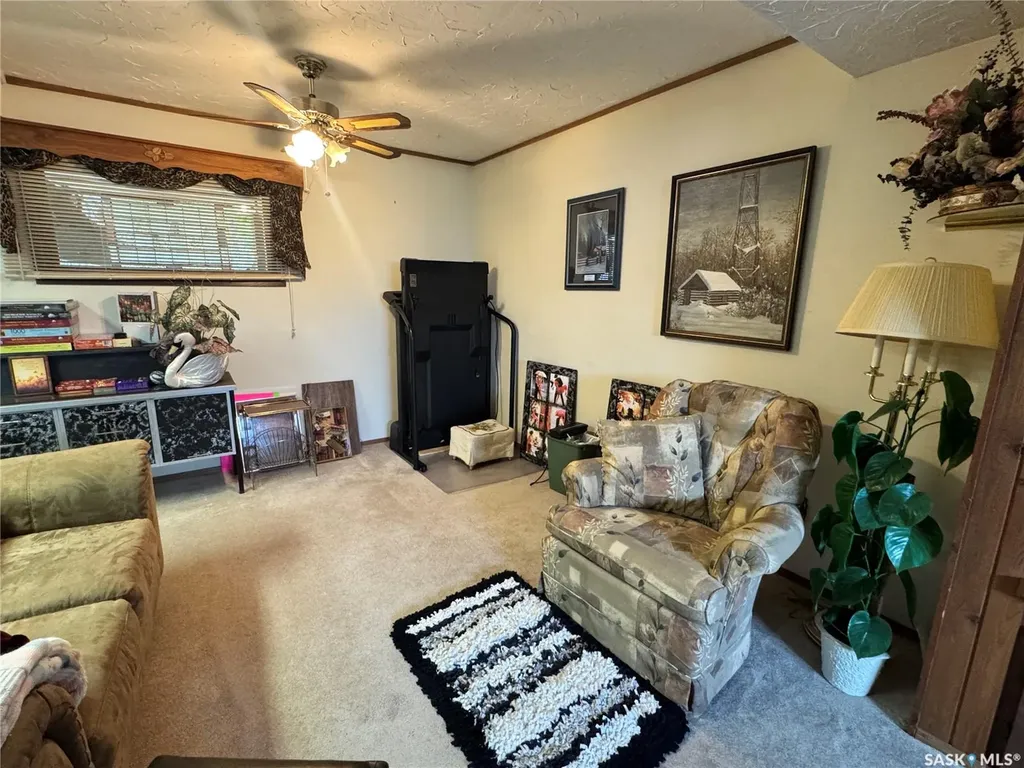 523 8th Avenue W Biggar SK S0K 0M0